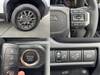 TOYOTA LANDCRUISER 250