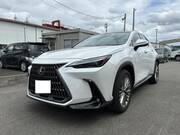2023 LEXUS NX