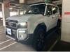 TOYOTA LANDCRUISER 250
