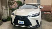 2024 LEXUS NX