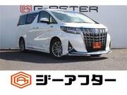 2019 TOYOTA ALPHARD