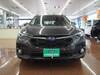 SUBARU OTHER
