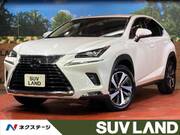 2021 LEXUS NX
