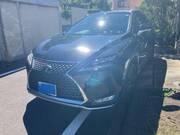 2020 LEXUS RX