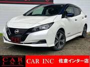 2021 NISSAN LEAF