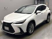 2021 LEXUS NX
