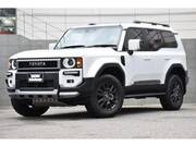2024 TOYOTA LANDCRUISER 250