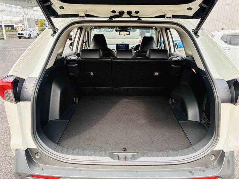 2019 TOYOTA RAV4 for sale - photo 11
