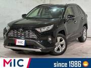 2019 TOYOTA RAV4 G