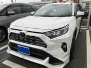 2019 TOYOTA RAV4 G