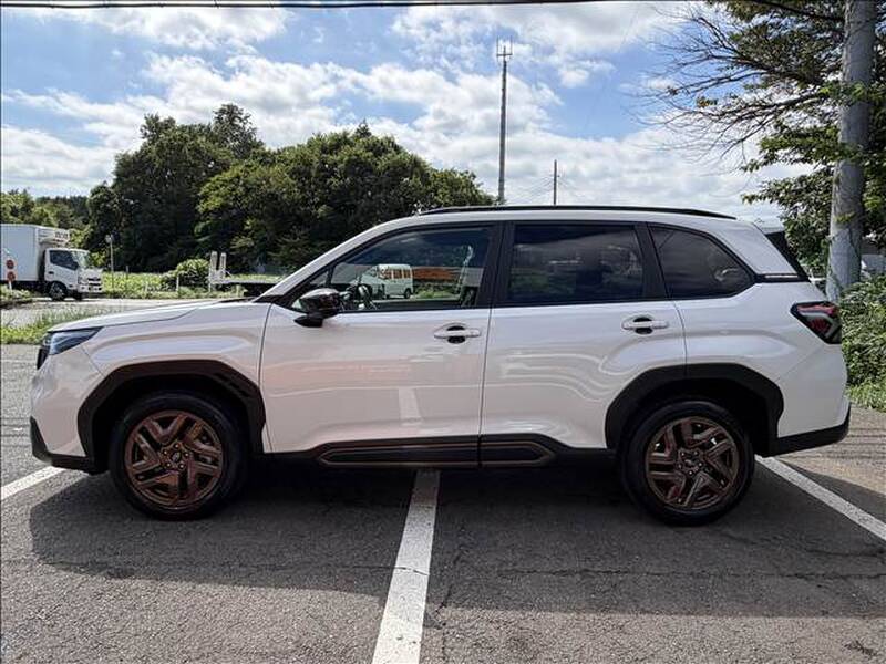 2025 SUBARU FORESTER for sale - photo 7