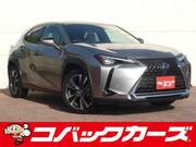 2019 LEXUS UX