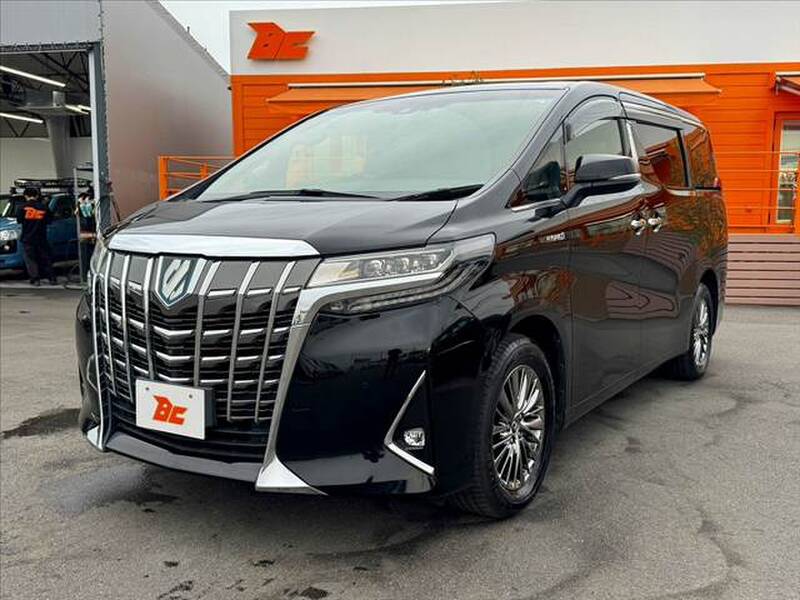 2019 TOYOTA ALPHARD for sale - photo 11