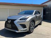 2015 LEXUS NX