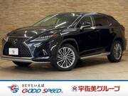 2019 LEXUS RX