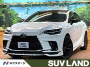2023 LEXUS RX