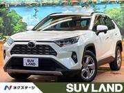 2019 TOYOTA RAV4 G