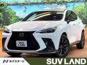 2022 LEXUS NX