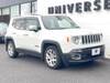 CHRYSLER JEEP RENEGADE