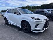 2020 LEXUS NX