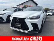 2024 LEXUS NX