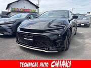 2025 TOYOTA OTHER