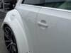 VOLKSWAGEN THE BEETLE