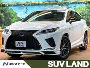 2020 LEXUS RX