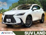 2024 LEXUS NX