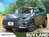 LEXUS OTHER