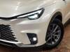 LEXUS OTHER