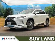 2020 LEXUS RX