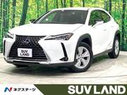 2021 LEXUS UX