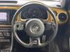 VOLKSWAGEN THE BEETLE
