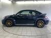 VOLKSWAGEN THE BEETLE