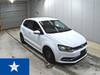 OTHER POLO