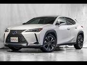 2019 LEXUS UX