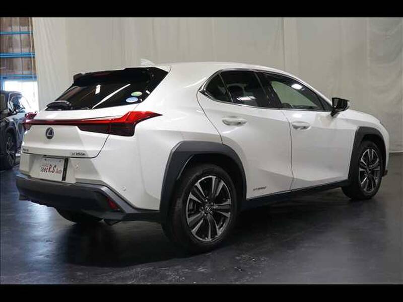 2019 LEXUS UX for sale - photo 10