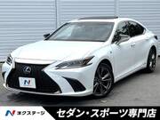 2019 LEXUS ES