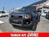 TOYOTA LANDCRUISER 250