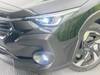 SUBARU OTHER