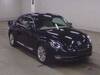 VOLKSWAGEN THE BEETLE