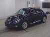 VOLKSWAGEN THE BEETLE
