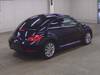 VOLKSWAGEN THE BEETLE