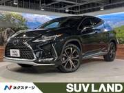 2020 LEXUS RX