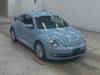 VOLKSWAGEN THE BEETLE