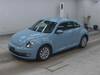 VOLKSWAGEN THE BEETLE