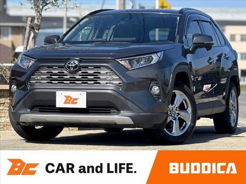 2019 TOYOTA RAV4 for sale