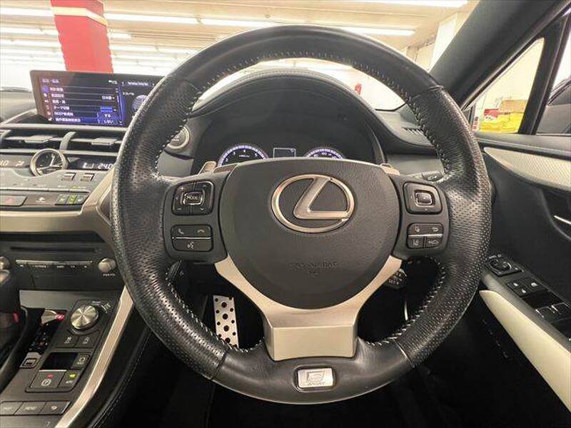 2019 LEXUS NX for sale - photo 11