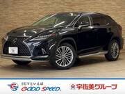 2019 LEXUS RX